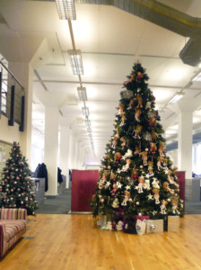 christmas trees in an open area