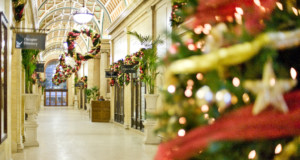 close up of a christmas tree in a decorated area