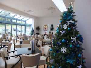 sitting area with christmas trees in the corner of the rooms