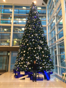 large christmas tree by glass