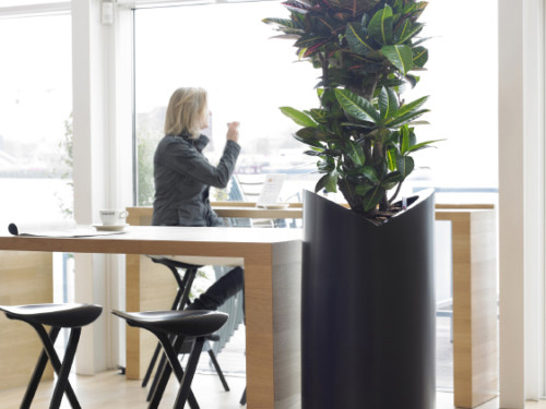 indoor_live_plant_displays