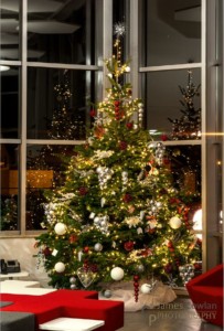 christmas tree lit up in a room