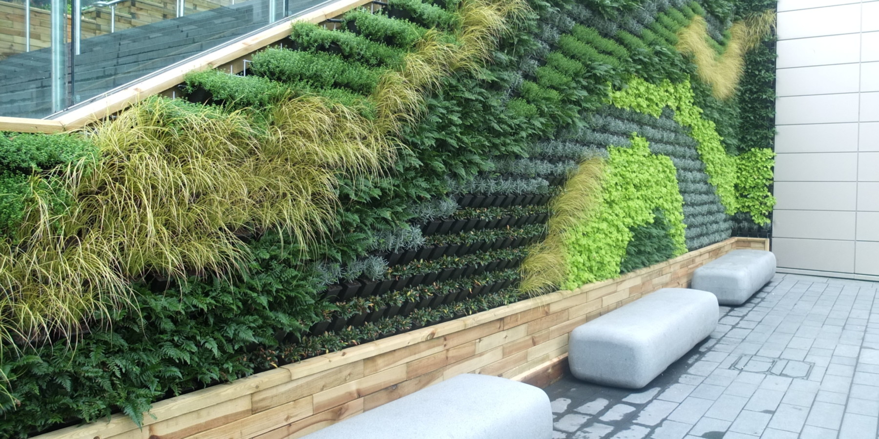 Green Living Wall