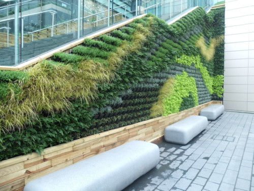 Green Living Wall