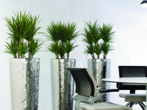 indoor_live_plant_displays