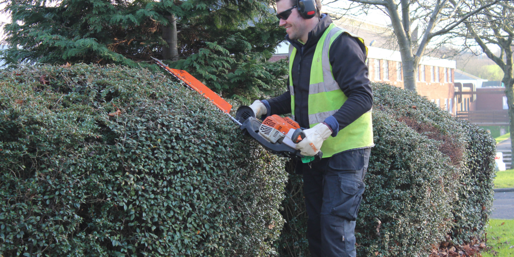 man trimming down trees