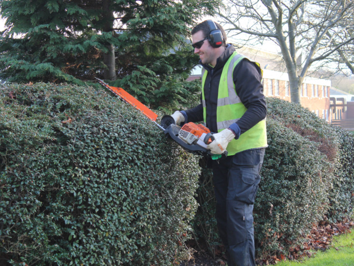 man trimming down trees