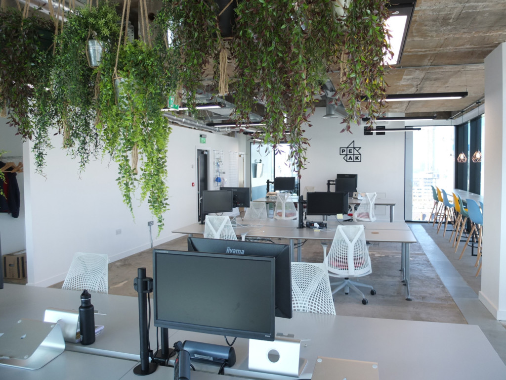 plants hanging from the ceiling in an open office area