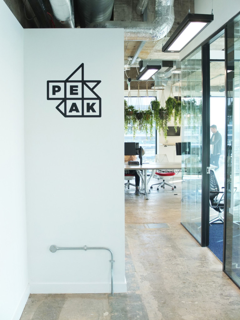 side view of plants hanging from the ceiling in an open office area