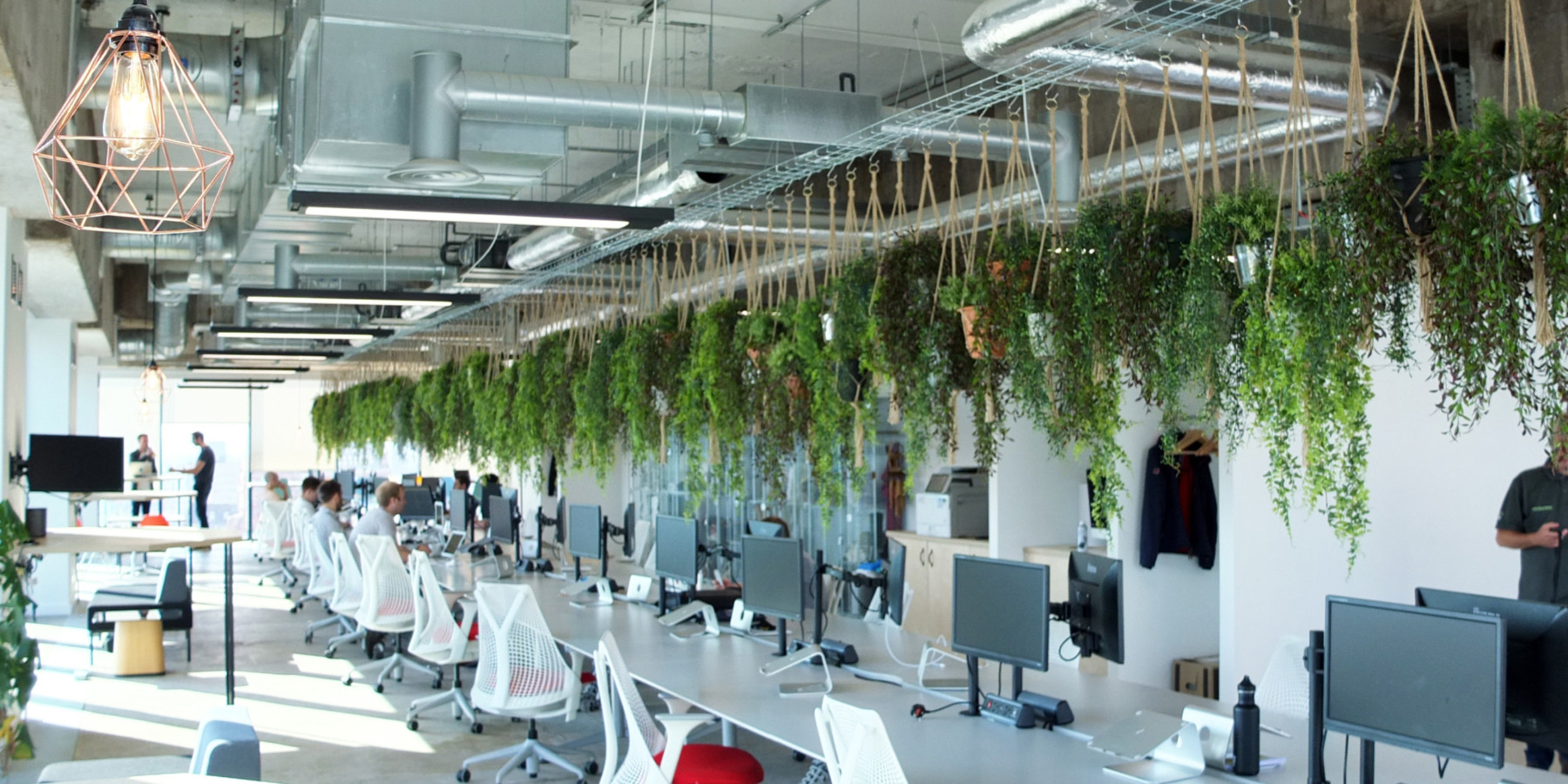 indoor artificial plants hanging from the ceiling