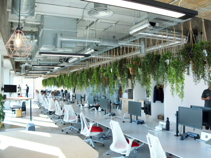 indoor artificial plants hanging from the ceiling