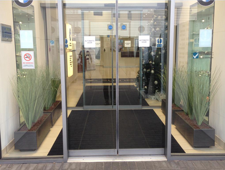 plants inside a buildings entrance