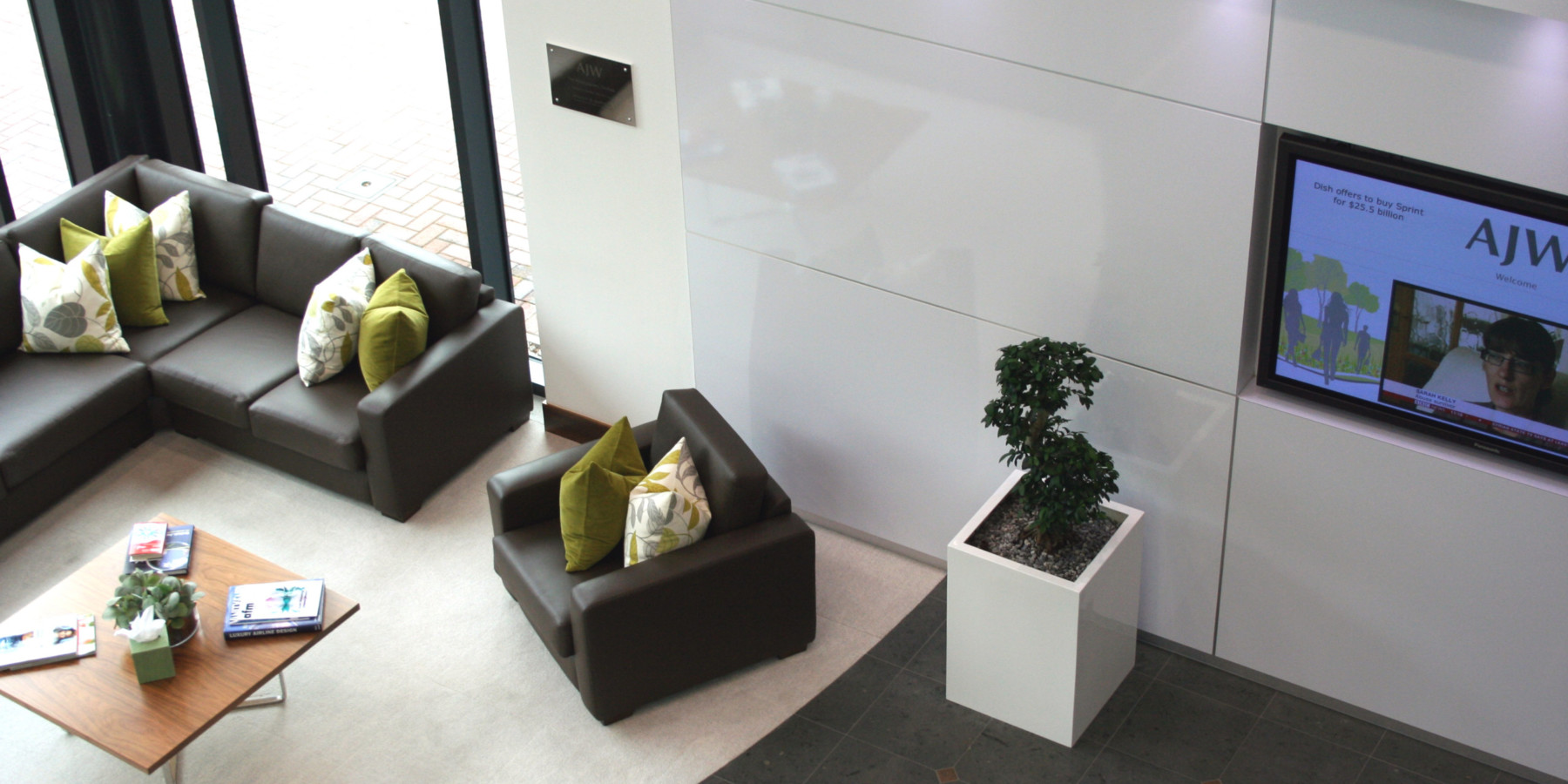 top view of house with couches and indoor plant displayed