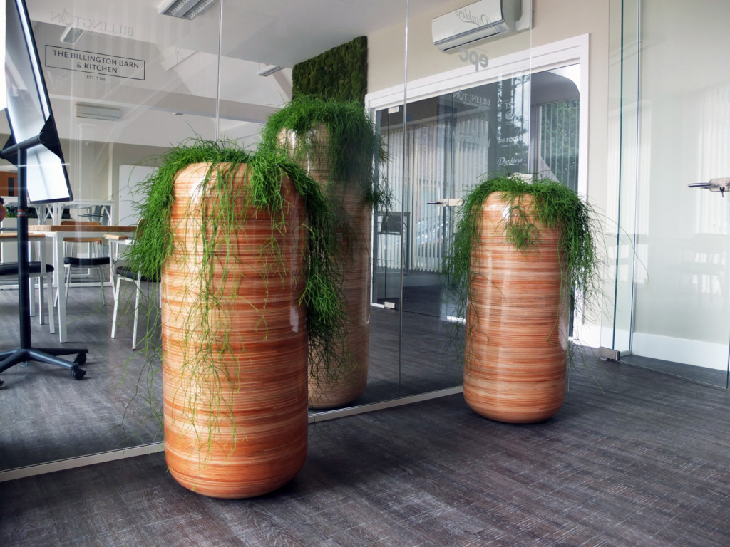 billington barn kitchen indoor plants in large pots