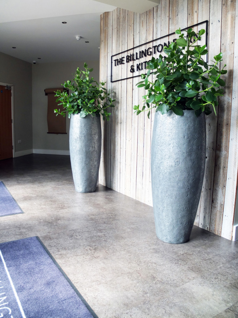 billington barn kitchen wall with large plants