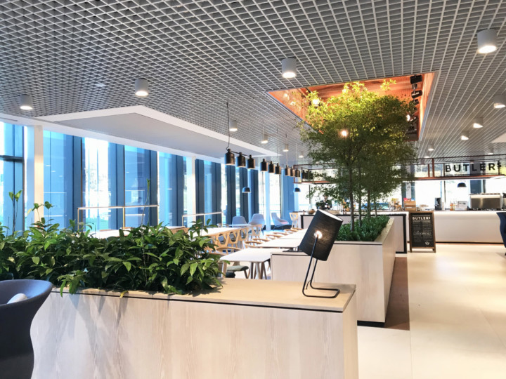 indoor live plants displayed in a building