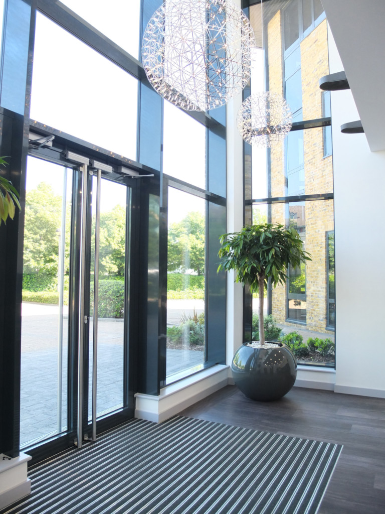 plant displayed by the entrance of a building