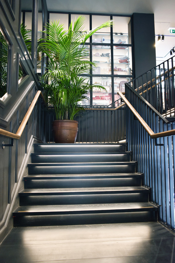 black set of stairs with a plant in the upper corner