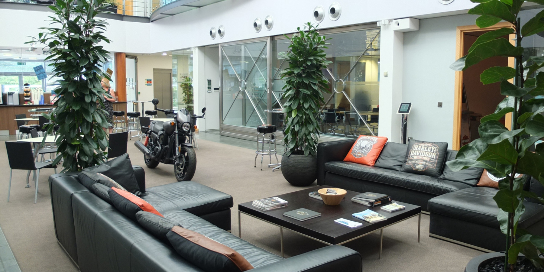 indoor plants displayed arround a sitting area