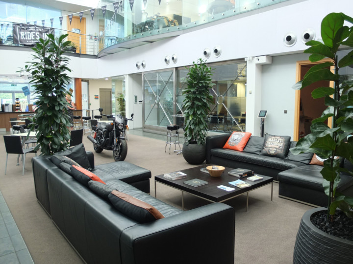 indoor plants displayed arround a sitting area