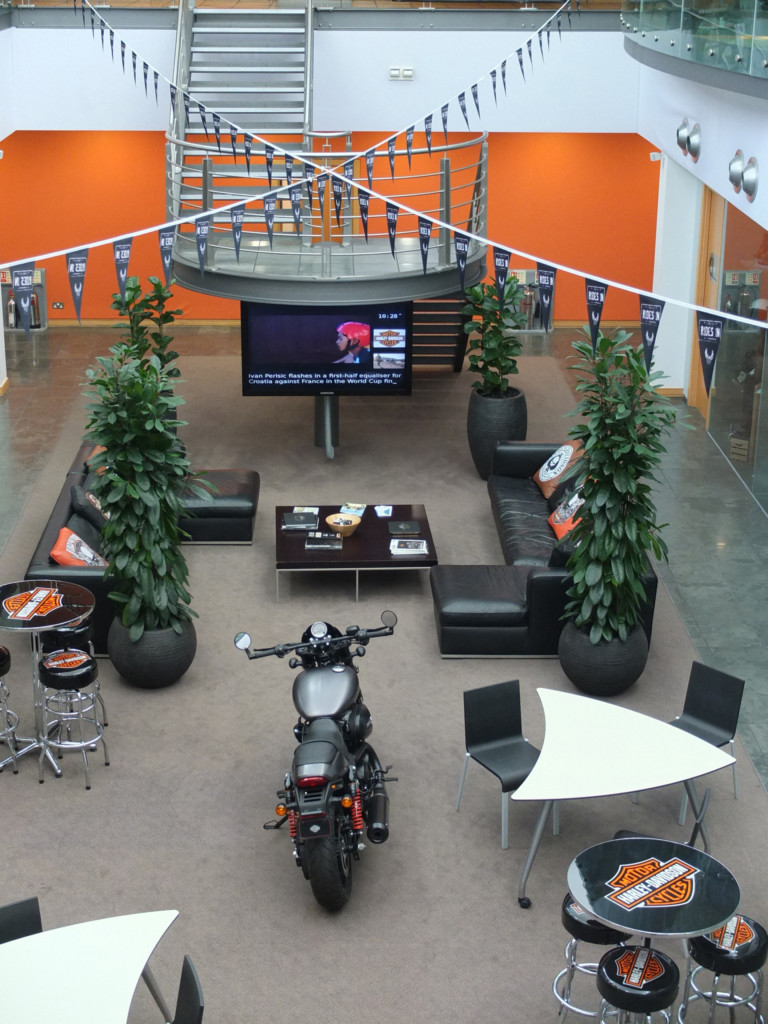 top view of sitting area with plants displayed 