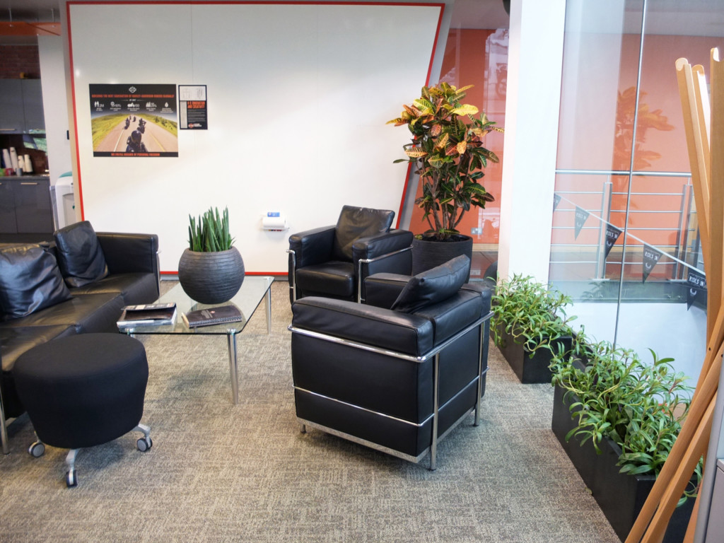 top view of sitting area with plants displayed 