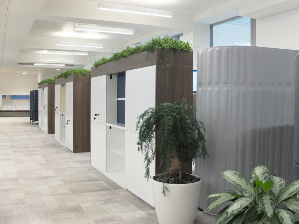 plants in an office