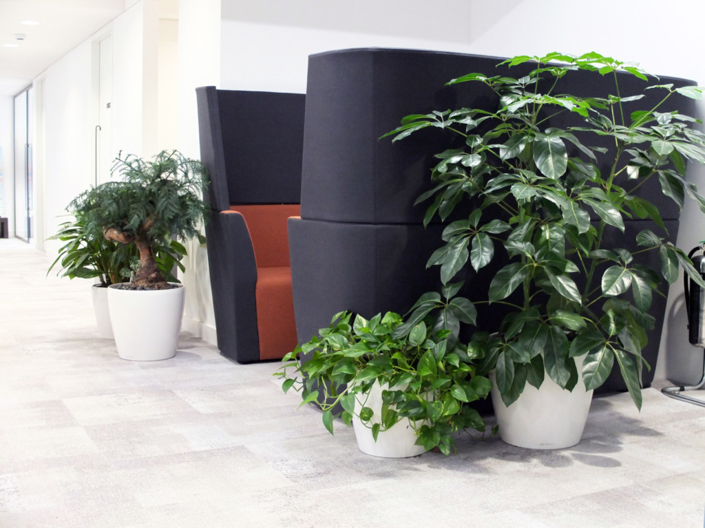 indoor plants surrounding seats in a formal area