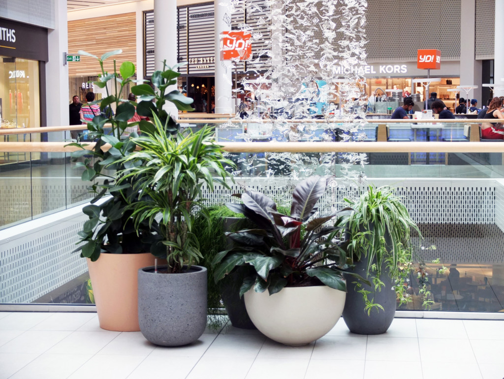 Plants in pots displayed in a mall