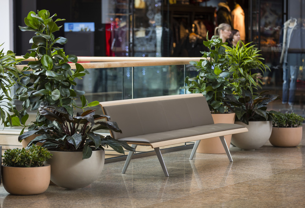 plants besides a bench in shopping centre