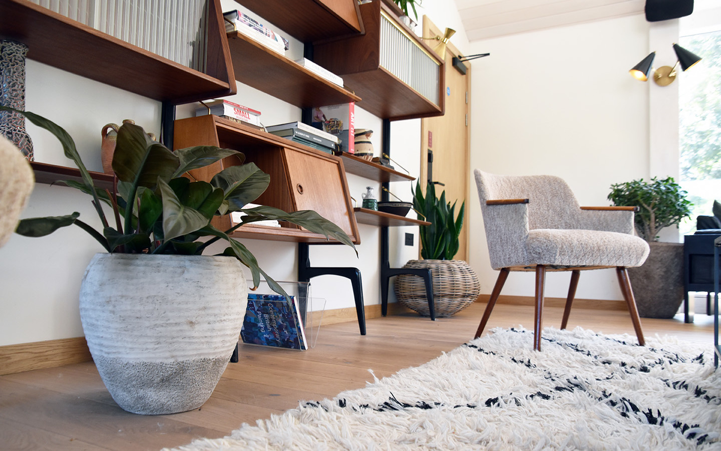 cosy area with plants displayed on the wall structure