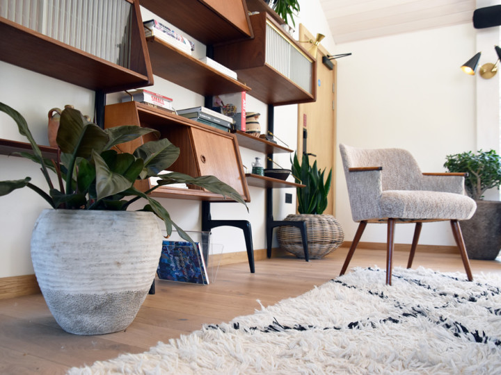 cosy area with plants displayed on the wall structure