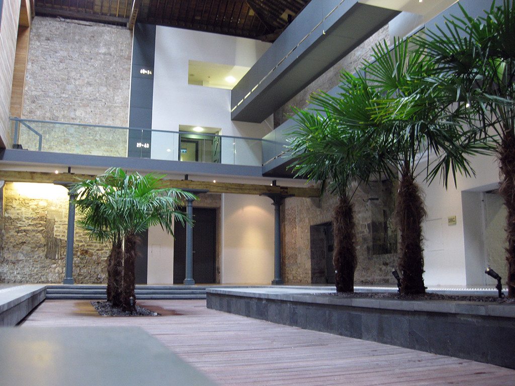 open area in a building with plants displayed