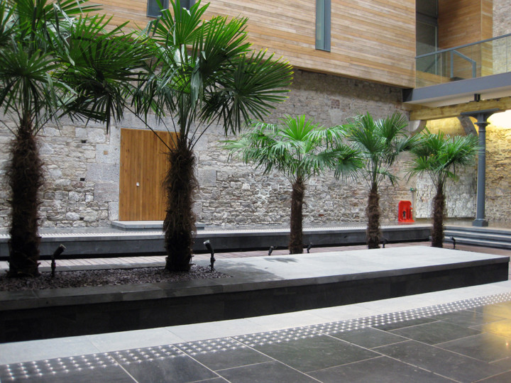 large indoor plants displayed in royal william yard plymouth