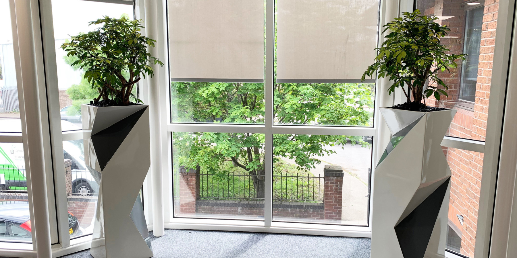 indoor plants in a decorative pot by the window