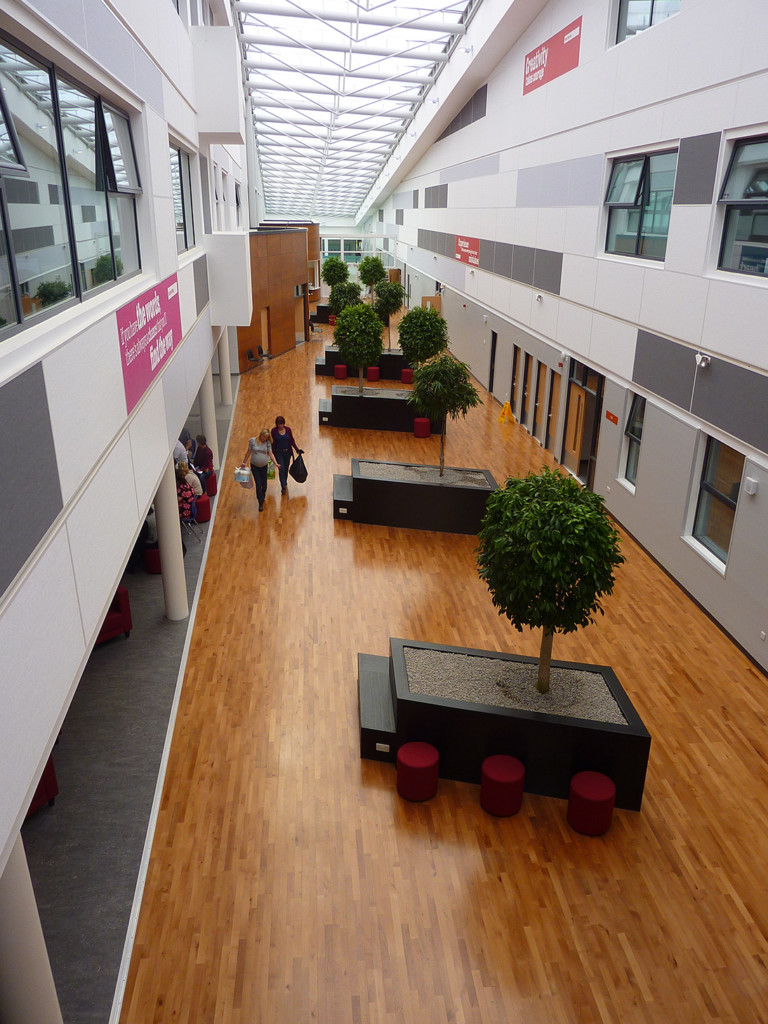 top view of plants in a building