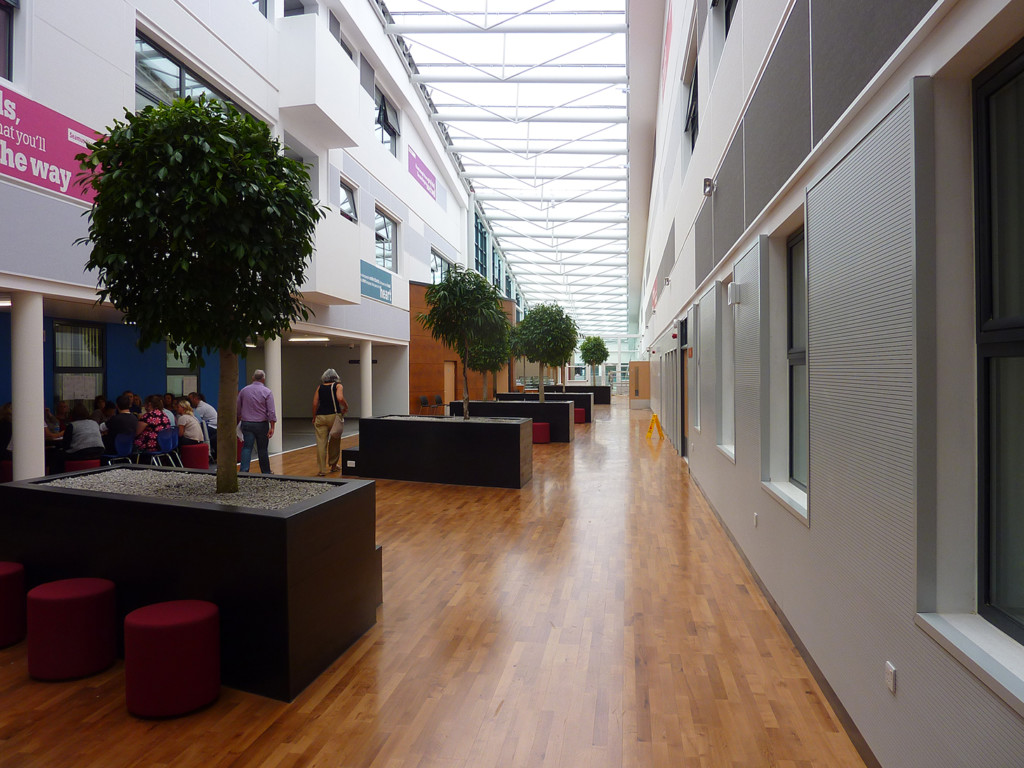 tall building with indoor plants displayed