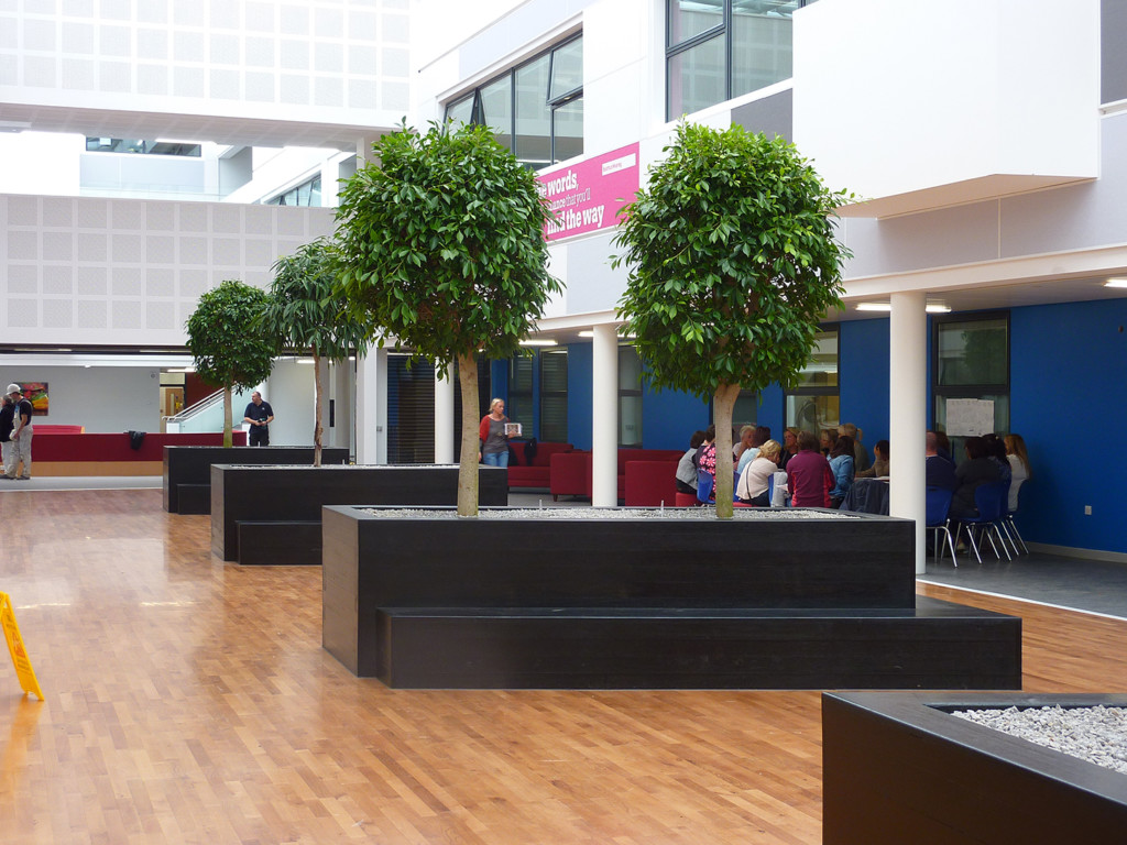 plants in the middle of a building