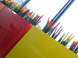 plants in red and yellow pots