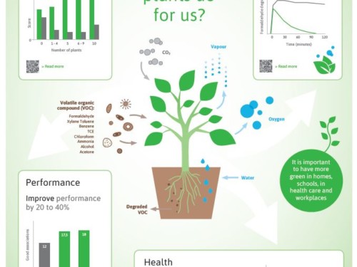 Info_green_infographic