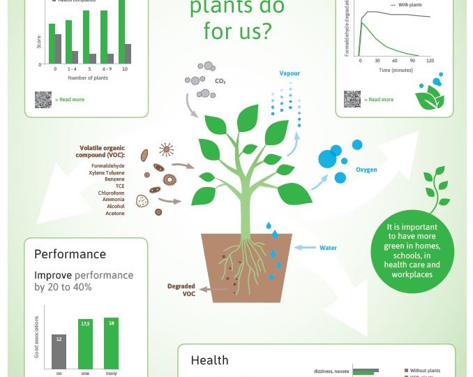 Info_green_infographic