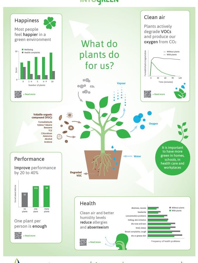 Info_green_infographic