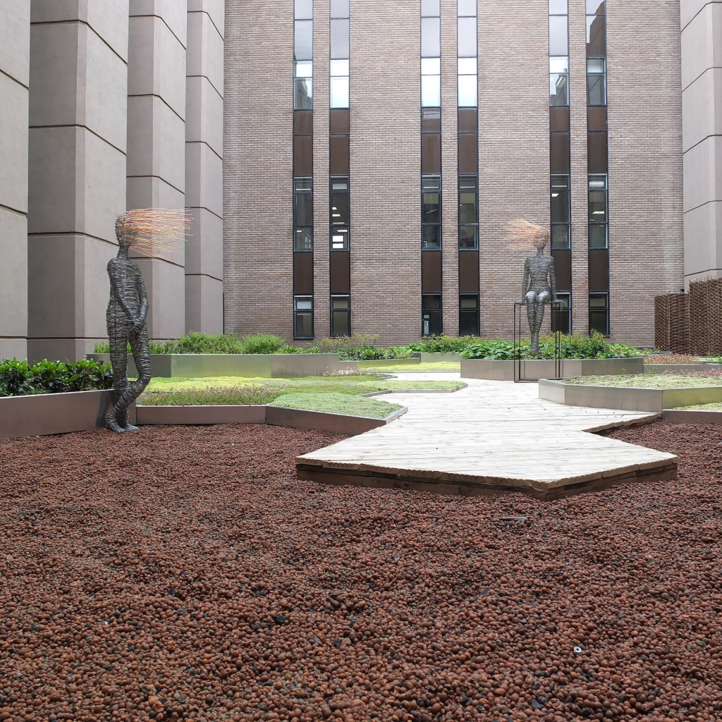 landscaping outside university with metal structured statues