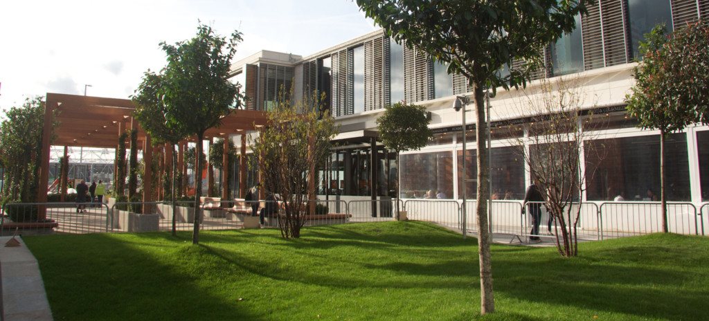 landscaping outside a building