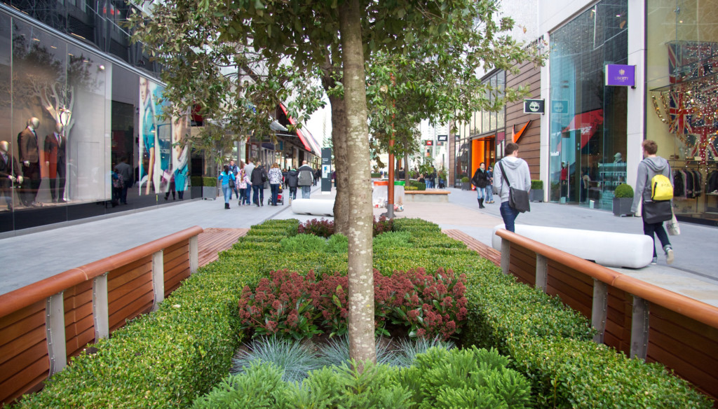 open area with plants displayed