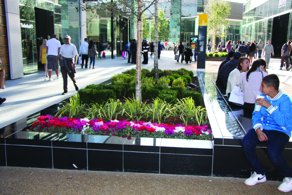 open area with plants displayed