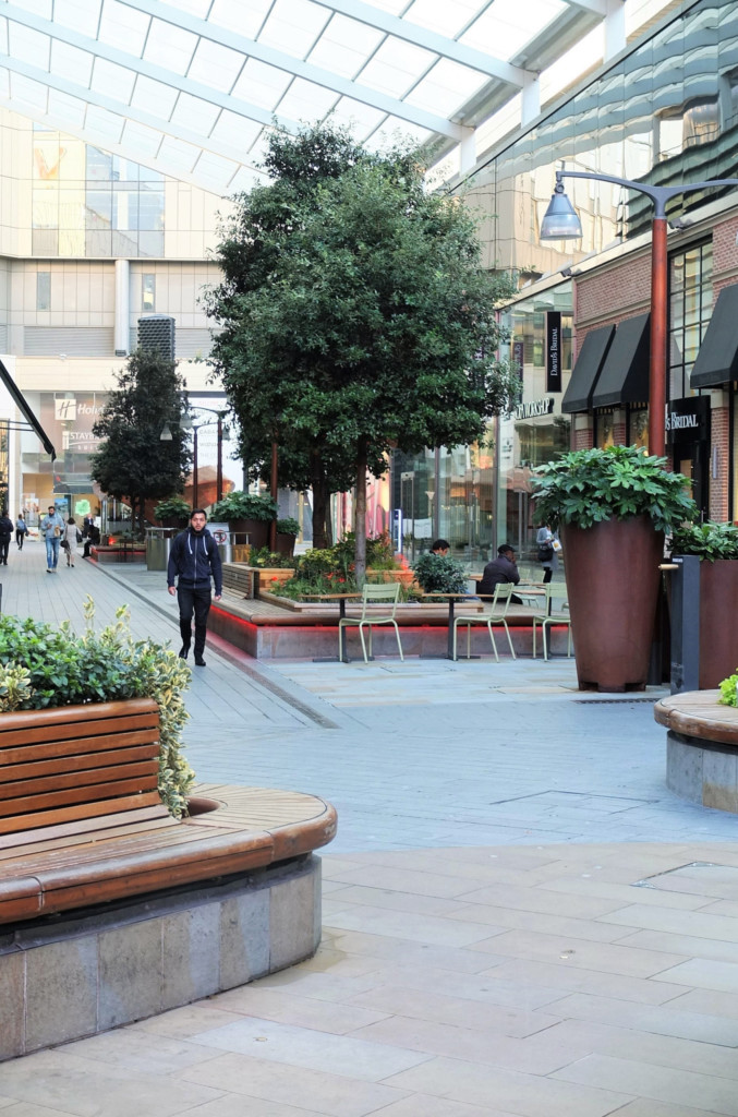 open area with plants displayed