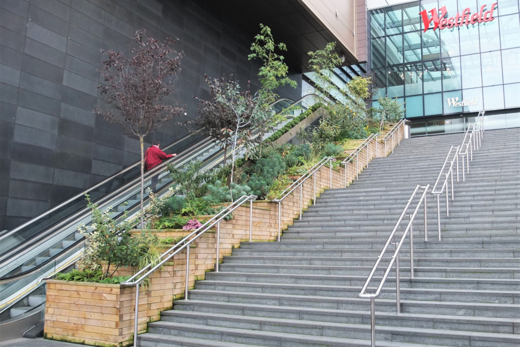 staircases with woodwork on the side with plants