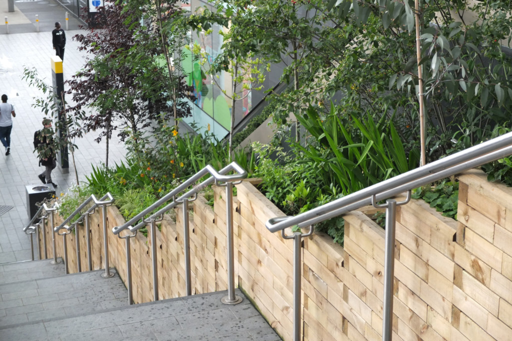 staircases with woodwork on the side with plants