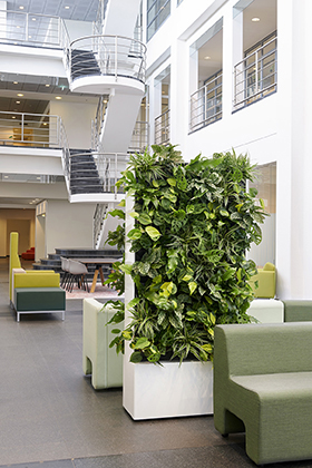 indoor plants by a sitting area